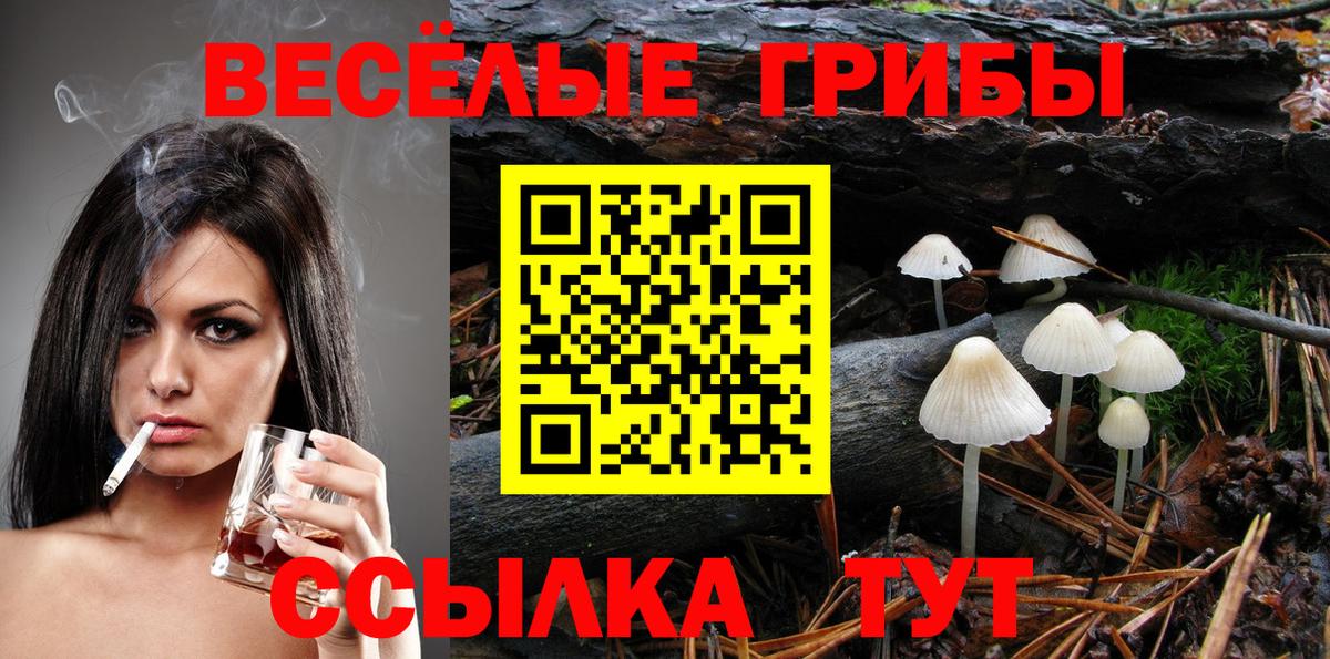 Галлюциногенные грибы GOLDEN TEACHER Павлово