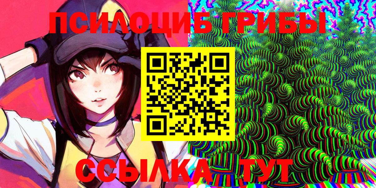 Павлово  Псилоцибиновые грибы Cubensis  Вход с VPN 