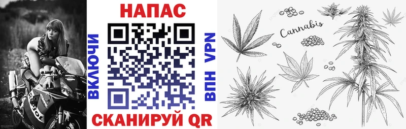 наркота Павлово Марихуана семена